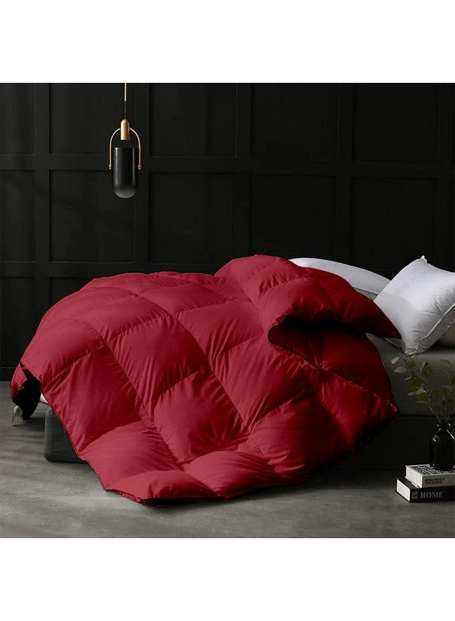 Razzai MammaYo Razzai 500 GSM Winter Comforter Premium Collection Quilted Comforter (90" x 100" Inches/228cm x 254cm) - Double Bed Comforter|Burgundy|Microfiber|lightweight - Image 1