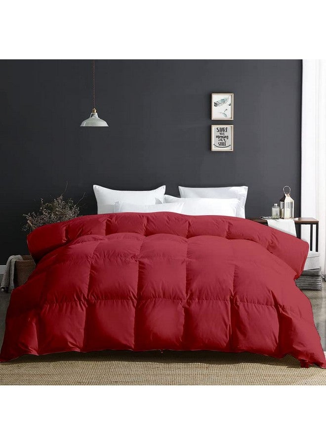 Razzai MammaYo Razzai 500 GSM Winter Comforter Premium Collection Quilted Comforter (90" x 100" Inches/228cm x 254cm) - Double Bed Comforter|Burgundy|Microfiber|lightweight - Image 3
