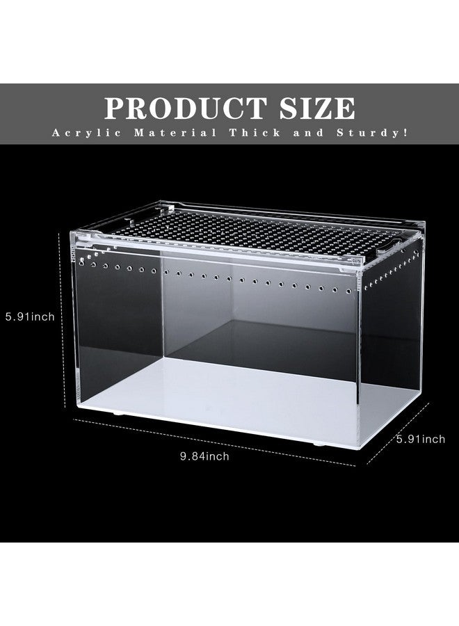 Maxcheck Maxcheck Magnetic Acrylic Reptile Enclosure Tarantula Enclosure Hermit Crab Habitat Feeding Reptile Terrariums Lizard Tank Acrylic Cage for Tarantula Invertebrates Mantis Cricket(9.8 x 5.9 x 5.9'')  - Image 3