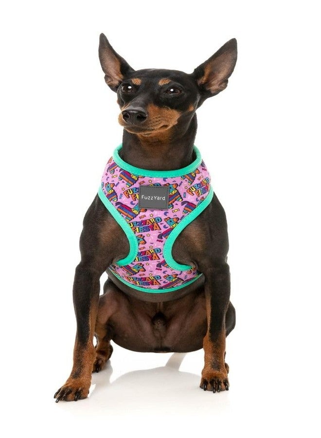 FuzzYard Siesta Fiesta Pinata Harness for Dogs (Extra Small) - Image 4