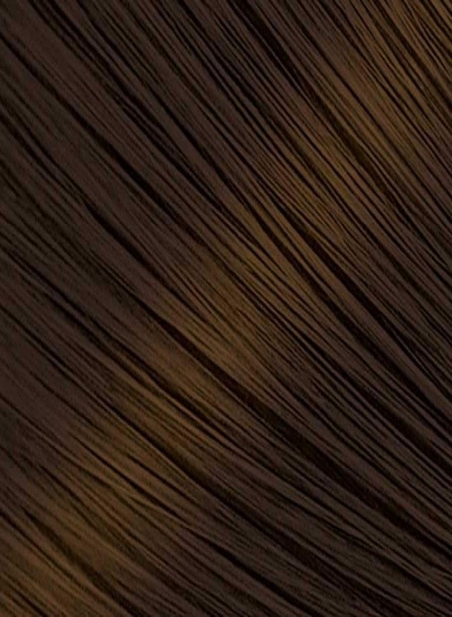Hoyu Bigen Speedy Conditioning Color Refill: 4 Chestnut - 3 Pack - Image 2