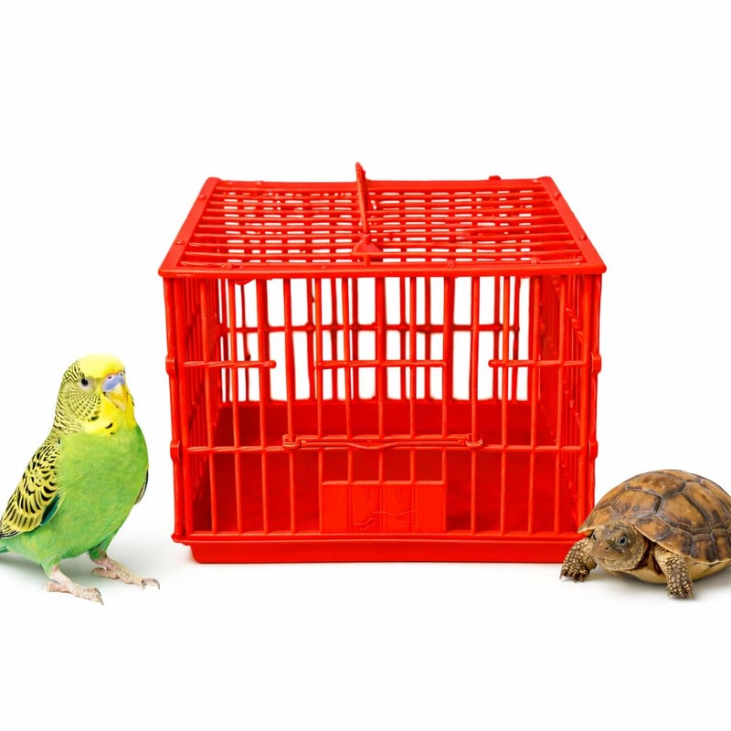Portable Bird Travel Cage for Small Parrots Budgies Lovebirds turtles Cockatiels Plastic Carrier with Ventilation and Secure Lock White - Image 3