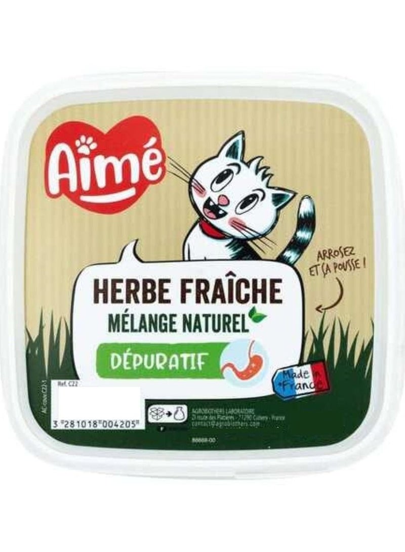 Aime Fresh Purifying Herbs - Image 1