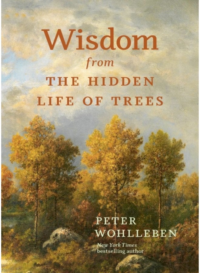 Wisdom from the Hidden Life of Trees - Hardback