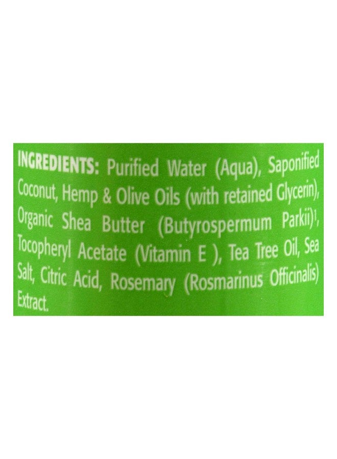 Dr. Woods صابون سائل كاستيل من شجرة الشاي النقية مع زبدة الشيا العضوية 16 أونصة - Image 3