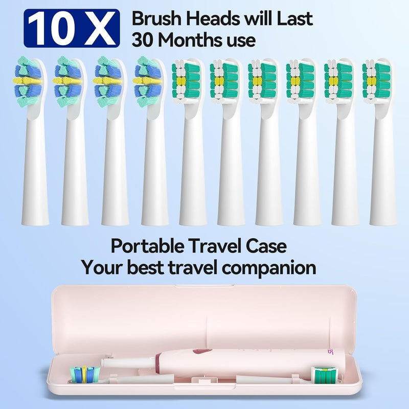 Seago Electric Toothbrush with 10 Brush Heads,Travel Toothbrush with Travel Case and Toothbrush Holder,Smart Toothbrush with Timer for Adults,SG-2316(Pink) - Image 5