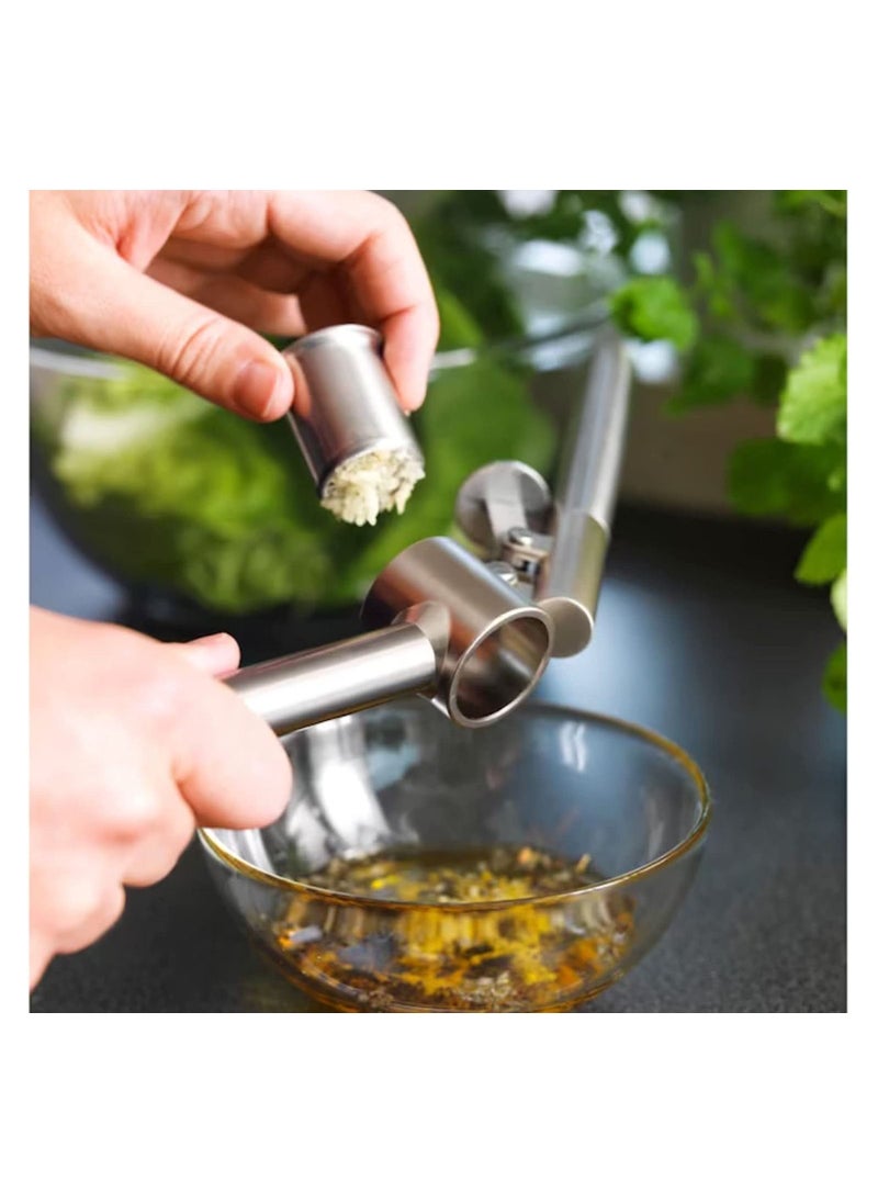 BEAUTY AMBITION - Garlic Press Stainless Stee Ginger and Garlic Crusher - Image 1