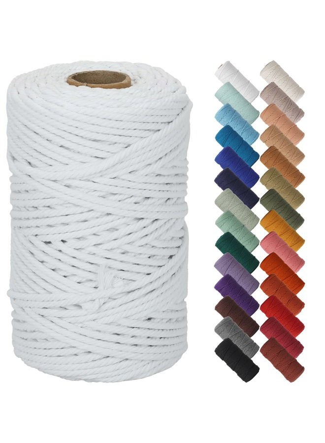 White Macrame Cord 5mm x 109yards, Colored Macrame Rope Cotton Rope Macrame Yarn, Colorful Cotton Craft Cord for Wall Hanging, Plant Hangers, Crafts, Knitting