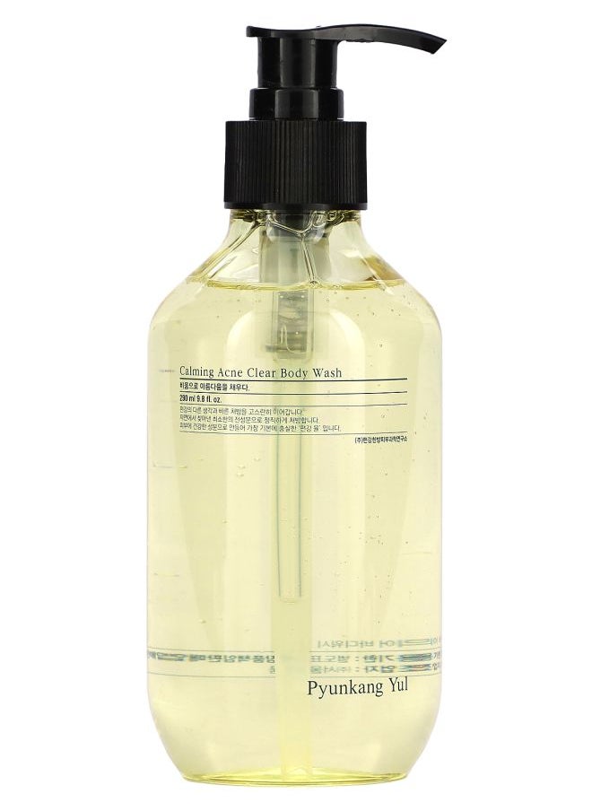PYUNKANG YUL - Calming Acne Clear Body Wash 9.8 fl oz (290 ml) - Image 1