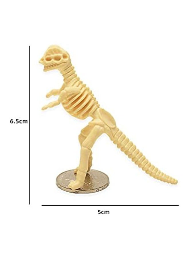 RATSAW - 12Pcs Dinosaur Fossil Skeleton Assorted Dino Bones for Science Play Dino Sand Dig Party Favor Decorations and Stocking Stuffer - Image 1