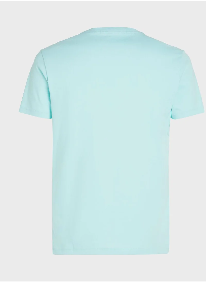Calvin Klein Jeans Logo Crew Neck T-Shirt