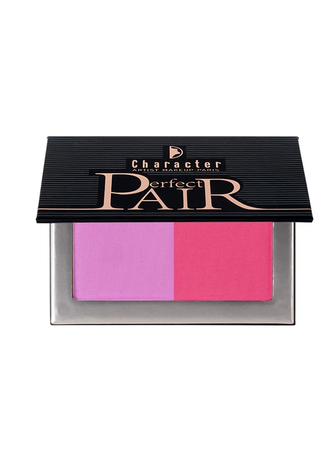 Character Perfect Pair 2 Color Blush