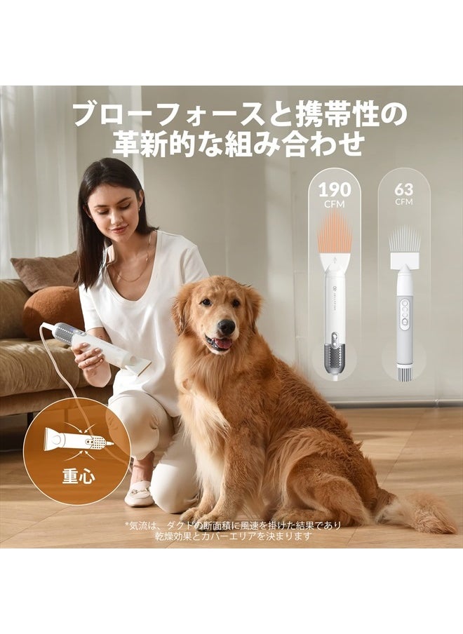 JELLYFISH - Dog Hair Dryer for Pet Grooming High Velocity Force Blower-Innovative 62m/s Air Speed Motor-1.21lb Lightweight Portable Dog Blow Dryer for Home & Travel-4 Levels Temperature 3 Nozzle 2 Blow Speed - Image 1