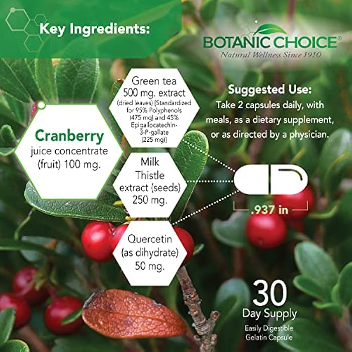 Botanic Choice Ultra Kidney Complex - Optimal Kidney Support with Milk Thistle, Green Tea & More- 60 Capsules - Image 3