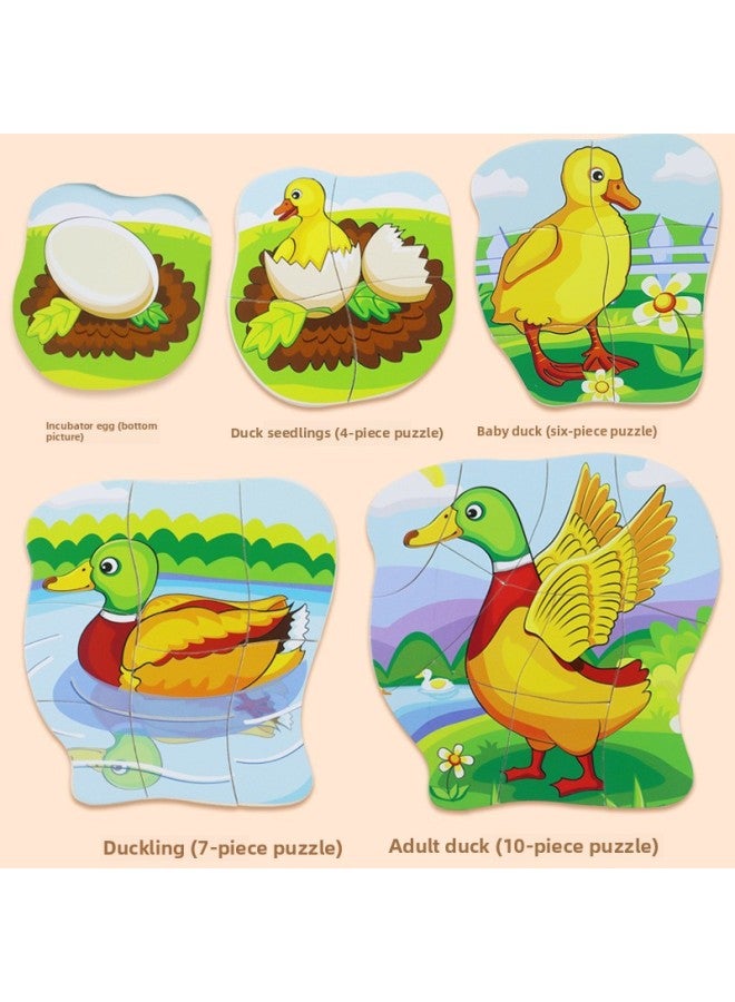 لعبة ألغاز طائرة للتعليم المبكر للأطفال لعبة ألغاز كرتونية خشبية للأطفال متعددة الطبقات عملية نمو البط - اللون: أحجية البط - Image 3