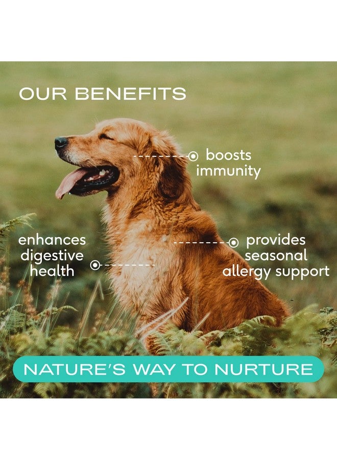 Native Pet Colostrum for Dogs - Bovine Colostrum Powder - Allergy Relief, Immune Support & Itchy Skin Treatment - Dog Multivitamins for Skin & Gut Health - Puppy Milk Replacement & Prebiotic -120 ct. - Image 2