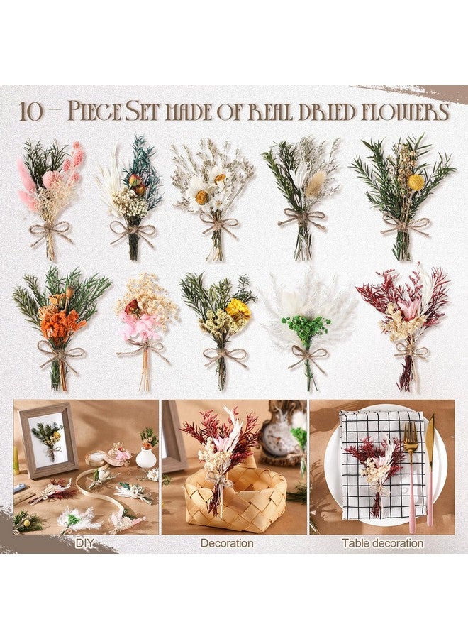 Nuanchu 10 Pcs Mini Dried Flower Bouquet Mixed Natural Dried Flowers with Stem Boho Plant Stem Bunch for DIY Craft Card Home Party Photo Props Wedding Decor, 5 to 7 inches - Image 4