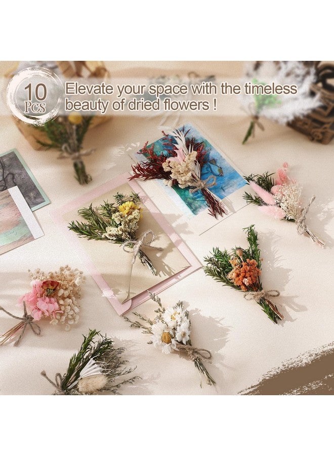Nuanchu 10 Pcs Mini Dried Flower Bouquet Mixed Natural Dried Flowers with Stem Boho Plant Stem Bunch for DIY Craft Card Home Party Photo Props Wedding Decor, 5 to 7 inches - Image 3