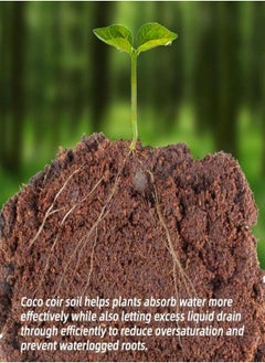 Generic 650gms Coco Coir Brick for Plants, Premium 100% Organic Peat moss mix With Low EC & PH Balance, Fiber Coconut Husk for Planting, Gardening, Potting Soil Substrate (1 Block)  - Image 2