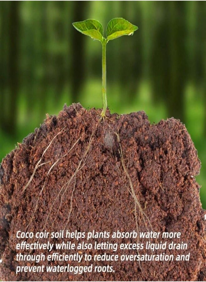 Generic 650gms Coco Coir Brick for Plants, Premium 100% Organic Peat moss mix With Low EC & PH Balance, Fiber Coconut Husk for Planting, Gardening, Potting Soil Substrate (1 Block)  - Image 2