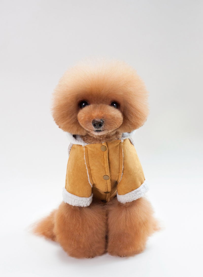 A pet dog wears a coat and a hat Yellow - Image 1