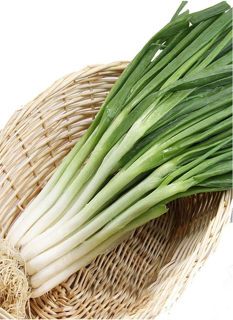 GGOOT - 150Pcs/Bag Chive Seeds Natural DIY High Yield Vegetable Planting Chives Seeds for Household - Green Onion Seeds - Image 1