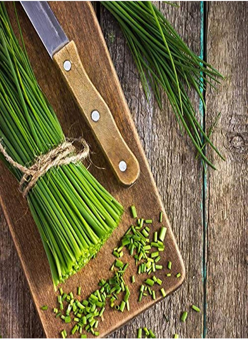 GGOOT - 150Pcs/Bag Chive Seeds Natural DIY High Yield Vegetable Planting Chives Seeds for Household - Green Onion Seeds - Image 1