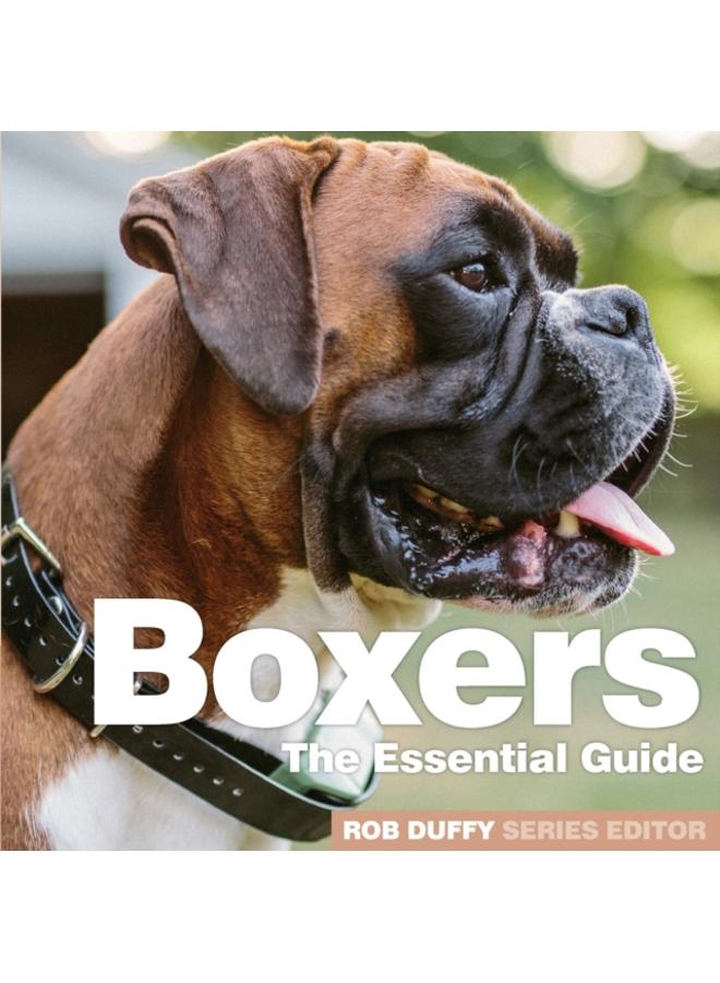 Boxers : The Essential Guide