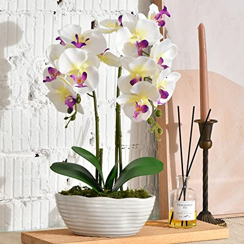 YSZL YSZL Large Artificial Potted Orchid Plant, Silk Flower Arrangement with Ceramics Vase, White  - Image 2
