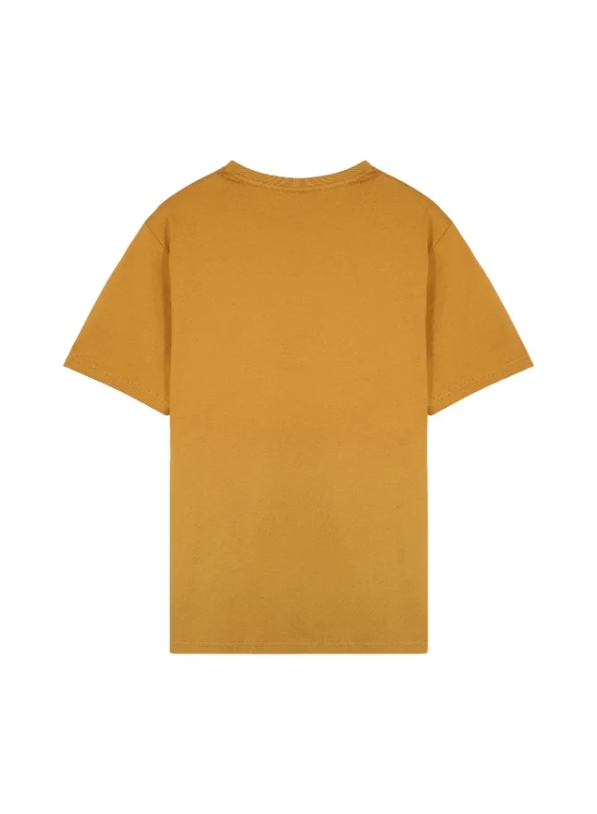 سيدرو CEDRO CASUAL REGULAR FIT 100% COTTN LIGHT WEIGHT 100% COTTON BASIC CREW NECK HONEY COLOR T-SHIRT