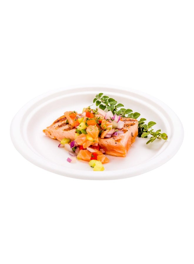 Restaurantware Pulp Tek 8.7 Inch Eco-Friendly Plates, 100 Medium Disposable Dinner Plates - Made From Natural Sugarcane Fibers, Heavy-Duty, White Bagasse Premium Plates, Sturdy, Round  - Image 2