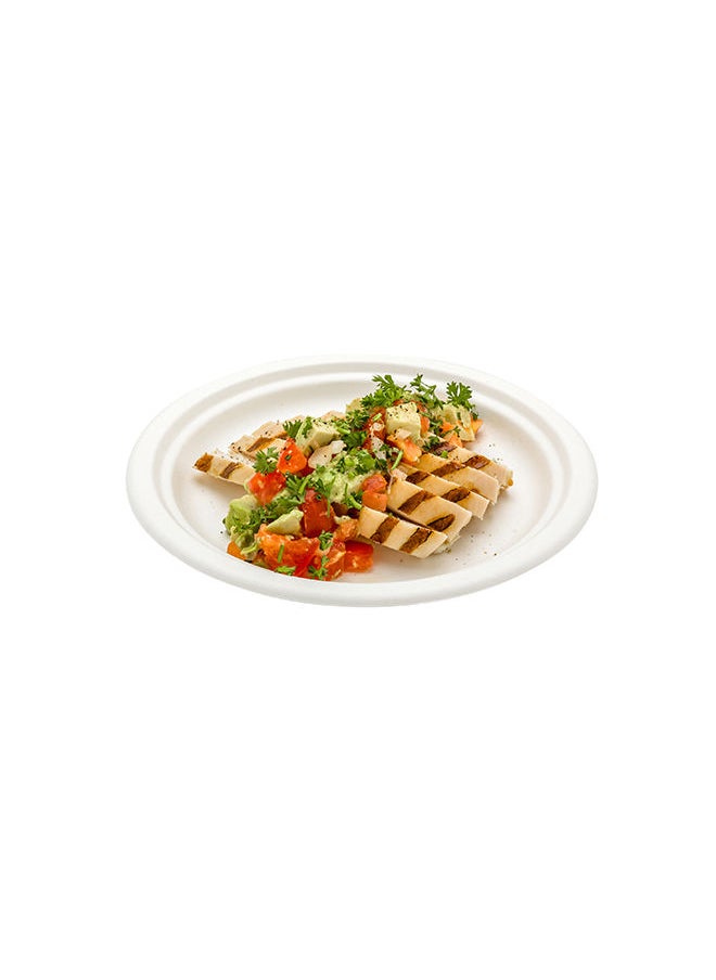 Restaurantware Restaurantware-Pulp Tek 8.7 Inch Eco-Friendly Plates, 100 Medium Disposable Dinner Plates - Made From Natural Sugarcane Fibers, Heavy-Duty, White Bagasse Premium Plates, Sturdy, Round  - Image 2