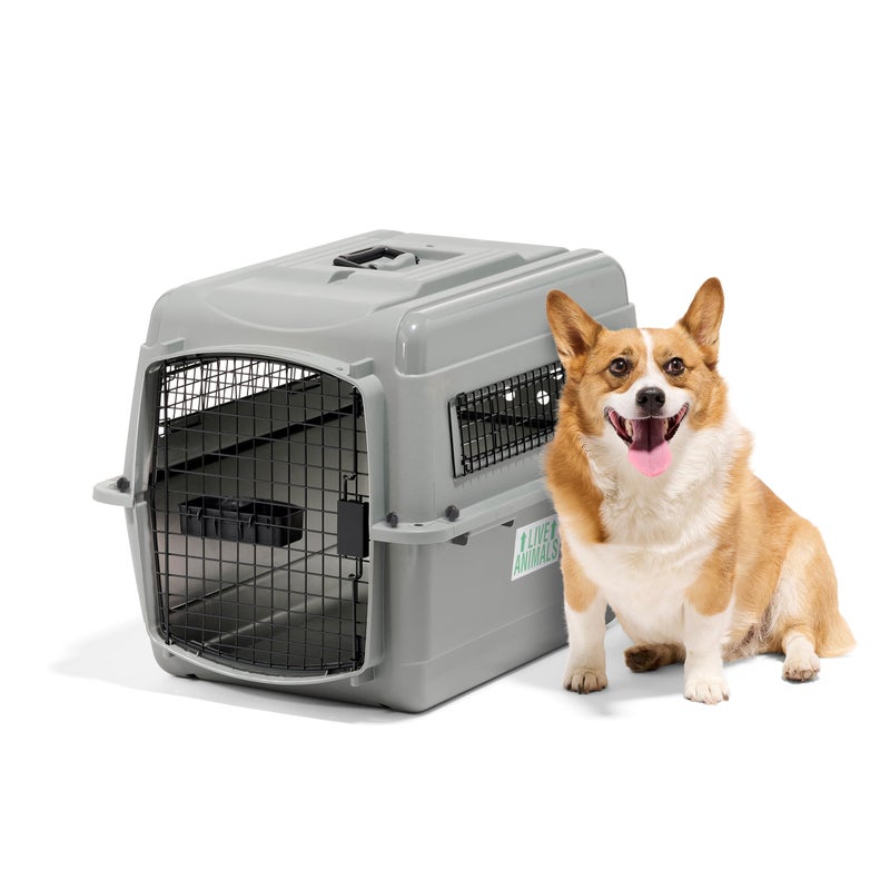 Petmate Sky Kennel - For Air and Travel, Airline Compliant Dog Crate for Pets up 15-30 lbs, Heavy Duty Dog Kennel, Made in the USA- 28 Inches - Image 3