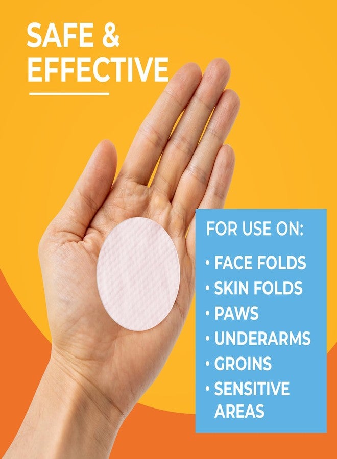 مناديل باو ساينس الطبية المضادة للبكتيريا والفطريات للكلاب والقطط - 100 منديل - مناديل كلورهيكسيدين مع كيتوكونازول لعلاج الطفح الجلدي، والتهابات الجلد، وحكة الكفوف، وحب الشباب لدى الحيوانات الأليفة - Image 4