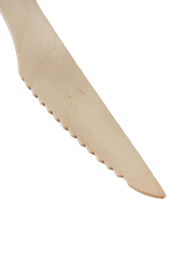 Packwell Wooden Knife 16 Cm 100 pcs - Image 4