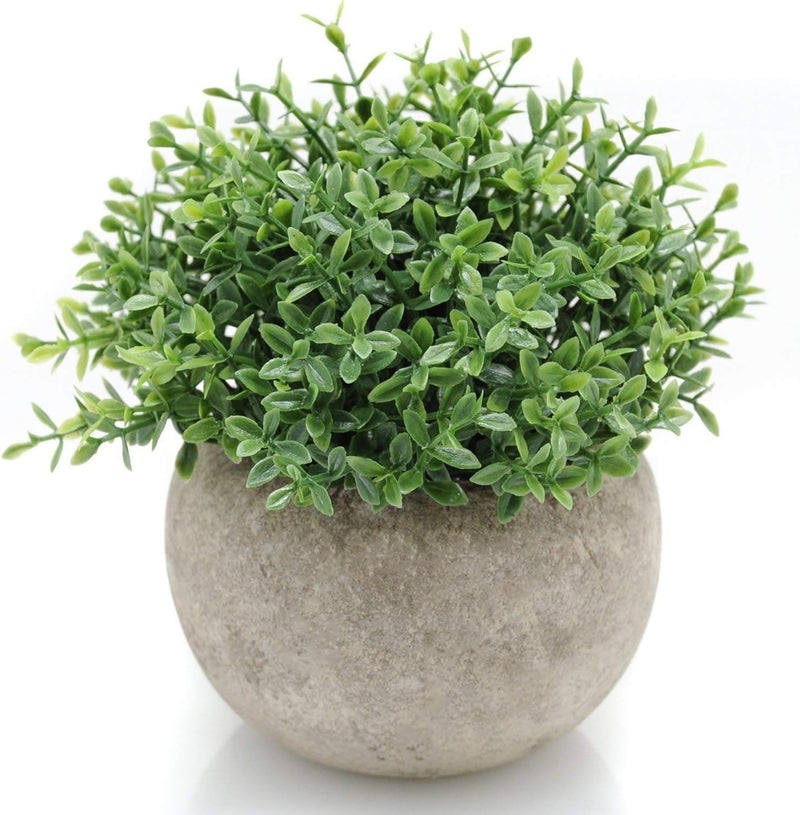 Velener Mini Sage Green Potted Boxwood Topiary Artificial Plants for Home Decor Indoor, Farmhouse House Plant Office Small Desk Shelf Apartment Coffee Bar Bathroom Decor Guest Room, Small Fake Plant - Image 1