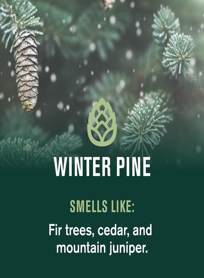 Every Man Jack Hydrating Body Wash - Winter Pine - Deeply Clean with Glycerin + Naturally Derived Ingredients - 13.5 oz (2 Pack - Image 4