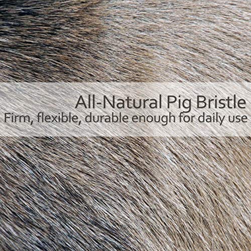 Redecker Natural Pig Bristle/Bronze Wire Clothes Brush with Oiled Pearwood Handle, 10-3/8-Inches - Image 2