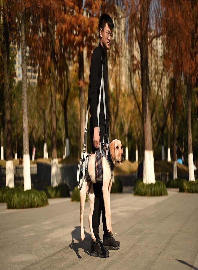 ROZKITCH Shoulder Belt Strap for Dog Lift Harness, Grid Pet Chest Rear Support Aid Veterinarian Approved Sling for Old K9 Help with Poor Stability 1 * 79 inch - Image 2