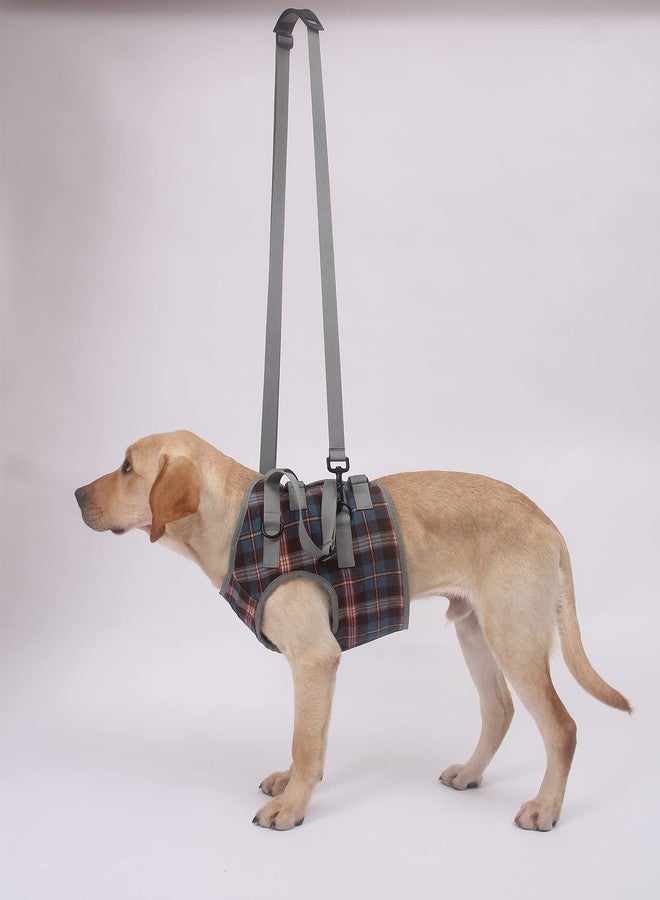 ROZKITCH Shoulder Belt Strap for Dog Lift Harness, Grid Pet Chest Rear Support Aid Veterinarian Approved Sling for Old K9 Help with Poor Stability 1 * 79 inch - Image 5