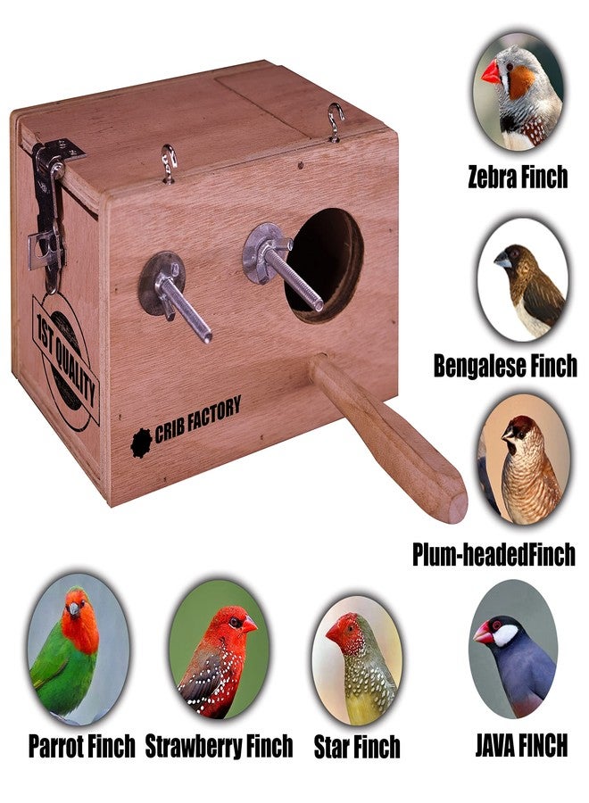 Crib factory Breeding Box for Finches and Gouldian | HIGH QALITY Plywood - Image 5
