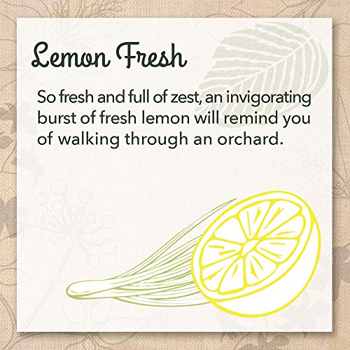 Ecome Eco-me Natural Multi Purpose Cleaner and Polish, Healthy Lemon Fresh Scent, Wood, 16 Fl.Oz - Image 4