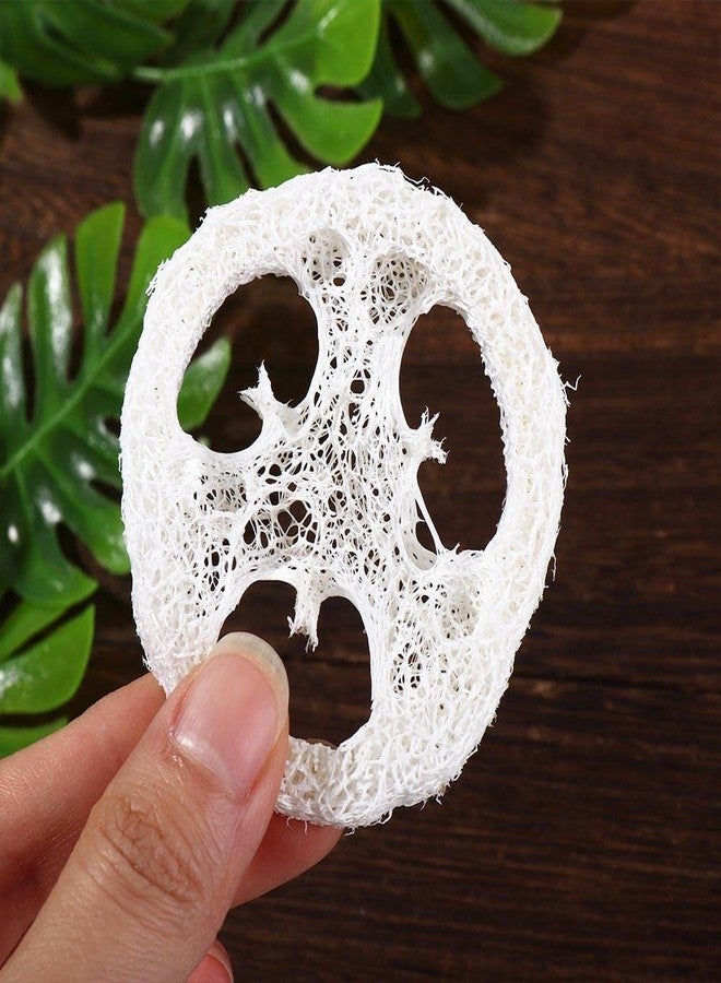 Kopida 10pcs Natural Loofah Luffa Loofa Slices Handmade Reusable Natural Loofah Cuts for Cleaner Sponge Scrubber, Sponge Soap Dishes for Bar Soap Facial Soap Holder, 1.96in-2.75in - Image 3