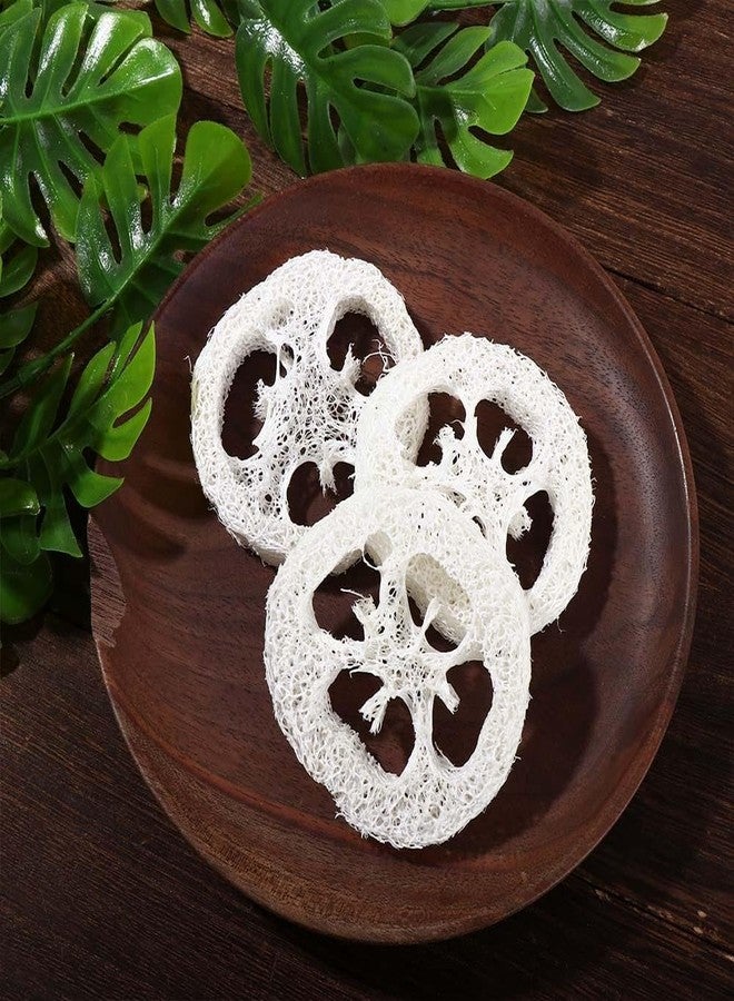 Kopida 10pcs Natural Loofah Luffa Loofa Slices Handmade Reusable Natural Loofah Cuts for Cleaner Sponge Scrubber, Sponge Soap Dishes for Bar Soap Facial Soap Holder, 1.96in-2.75in - Image 4