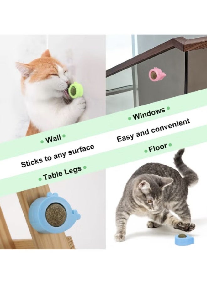 Generic - 3 PCS Wall Catnip Balls, Natural Catnip Ball Edible Licking Ball Catnip Wall Roller, Teeth Cleaning Cat Bite Toy, Rotating Licking Toy Cat Energy Ball Toy (Blue, Green, Pink) - Image 1
