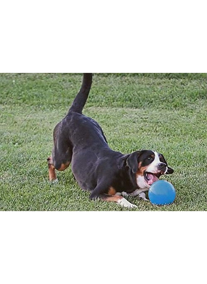 جووفى تريلز - ألعاب الكلاب Goofy Tails Dog Ball | كرة كبيرة للكلاب مقاس 11 سم للكلاب الكبيرة | كرات للكلاب | ألعاب للكلاب للكلاب الكبيرة | ألعاب مضغ غير سامة للكلاب (قد يختلف اللون) - Image 1