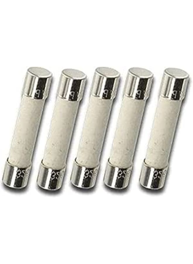 Ceramic Fuse T6 (15A-250V)