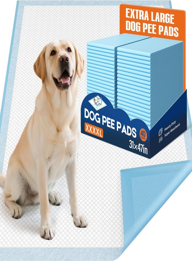 BESTRIPES Extra Large Dog Pee Pads 31x47 Inch - Heavy Duty 6-Layer Leak-Proof, Super Absorbent & Quick-Dry for Potty Training, 40 Count - Image 1