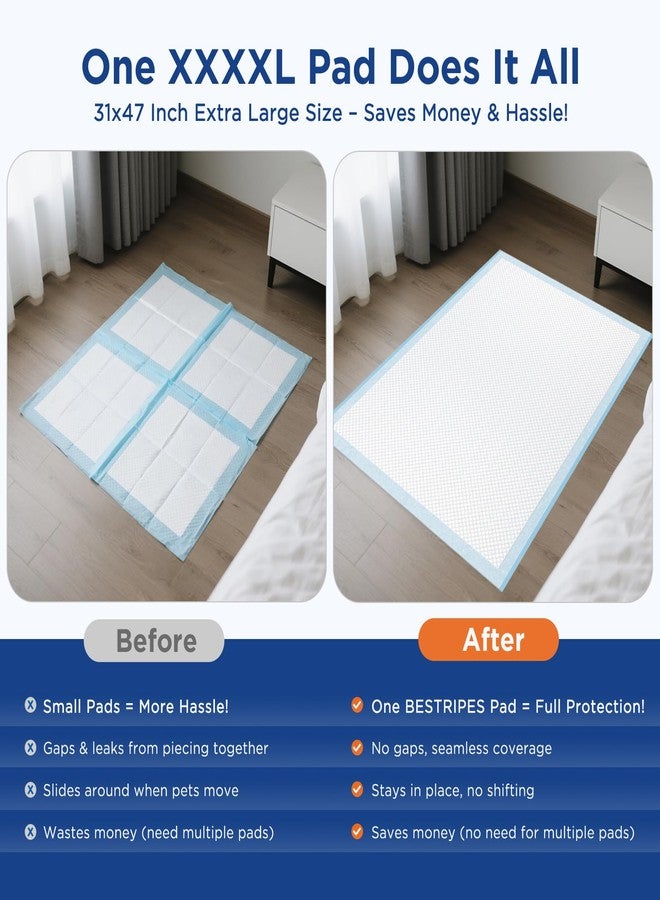 BESTRIPES Extra Large Dog Pee Pads 31x47 Inch - Heavy Duty 6-Layer Leak-Proof, Super Absorbent & Quick-Dry for Potty Training, 40 Count - Image 2