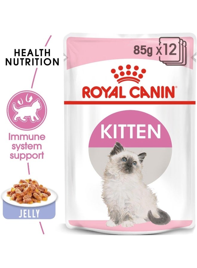 ROYAL CANIN طعام رويال كانين للقطط الصغيرة في الجيلي - 85 جرام - Image 2
